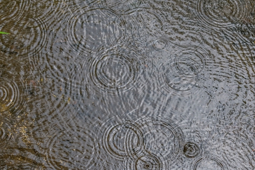 raindrop ripples photographed in a puddle